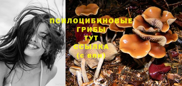 твердый Балабаново