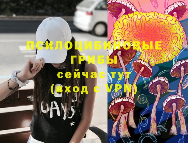 сатива Баксан