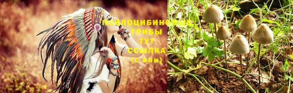 твердый Балахна
