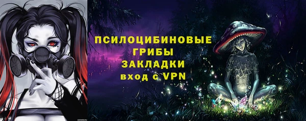 твердый Балахна