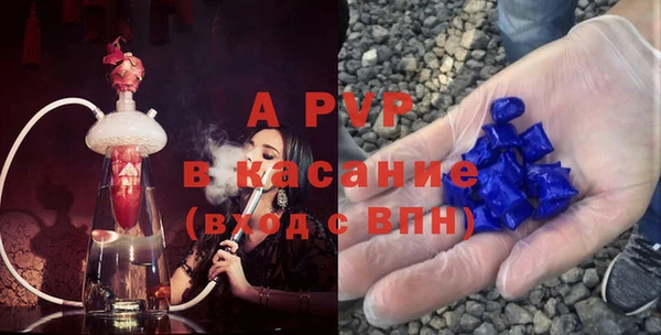 сатива Баксан